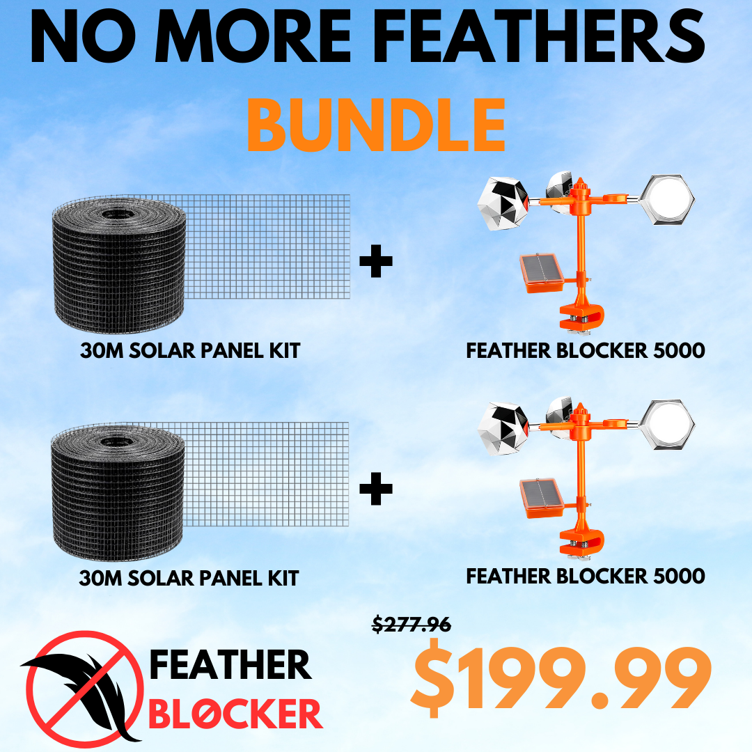 No More Feathers Bundle